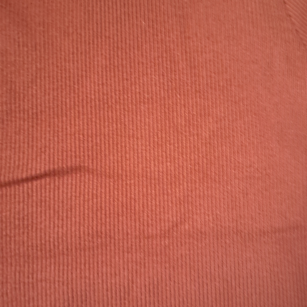 Short Sleeve Ribbed Tee in Rust Color - Picture 4 of 5